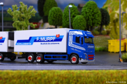20260810-Murpf-00309