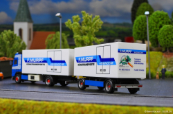 20260810-Murpf-00379