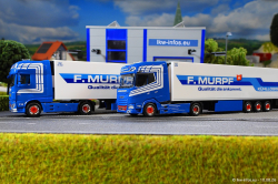 20260810-Murpf-00444