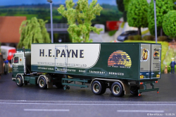 20260810-Payne-00022