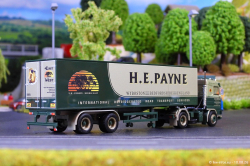 20260810-Payne-00037