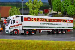 20260810-Payne-00115