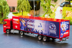 20260508-Penny-DEL-Straubing-Tigers-00018