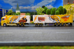 20260214-Ristimaa-Bee-Scania-00061