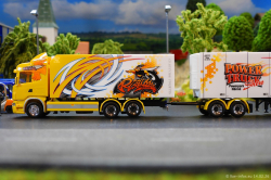 20260214-Ristimaa-Bee-Scania-00062