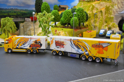 20260214-Ristimaa-Bee-Scania-00069