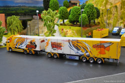 20260214-Ristimaa-Bee-Scania-00073