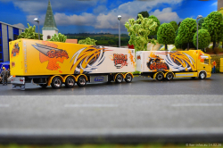 20260214-Ristimaa-Bee-Scania-00080