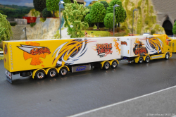 20260214-Ristimaa-Bee-Scania-00093