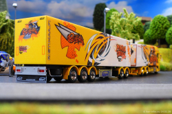 20260214-Ristimaa-Bee-Volvo-00085