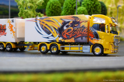 20260214-Ristimaa-Bee-Volvo-00103