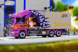 20260214-Ristimaa-Dragon-00011