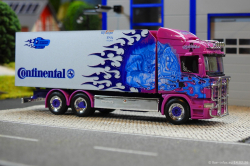 20260214-Ristimaa-Dragon-00034