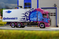 20260214-Ristimaa-Dragon-00035