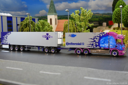 20260214-Ristimaa-Dragon-00093