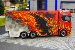 20260214-Ristimaa-Firebird-00028