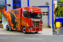 20260214-Ristimaa-Firebird-00037