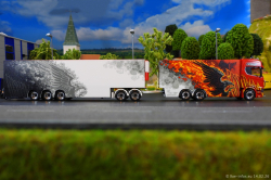 20260214-Ristimaa-Firebird-00087