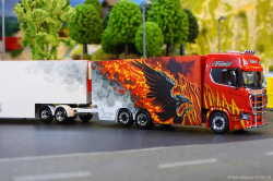 20260214-Ristimaa-Firebird-00094