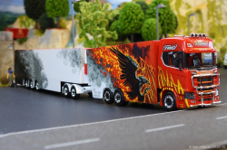 20260214-Ristimaa-Firebird-00105