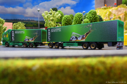 20260214-Ristimaa-Wild-Perry-00066