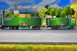 20260214-Ristimaa-Wild-Perry-00087