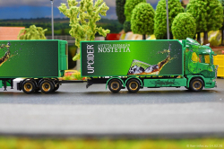 20260214-Ristimaa-Wild-Perry-00088