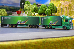 20260214-Ristimaa-Wild-Perry-00095