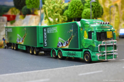 20260214-Ristimaa-Wild-Perry-00105