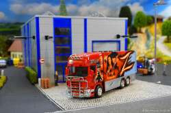 20260214-Ristimaa-Zorro-00003