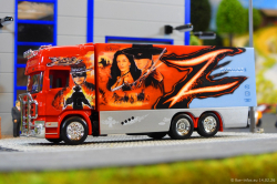 20260214-Ristimaa-Zorro-00011