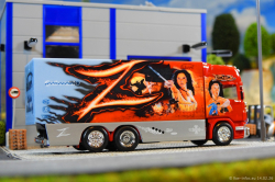 20260214-Ristimaa-Zorro-00035