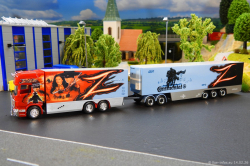 20260214-Ristimaa-Zorro-00052