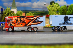 20260214-Ristimaa-Zorro-00055