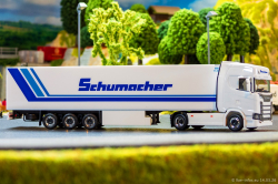 20260314-Schumacher-00731