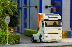 20260317-Schumacher-00589