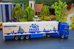 20251205-Trio-Trans-00037