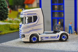 20251205-Trio-Trans-00146