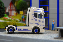 20251205-Trio-Trans-00161