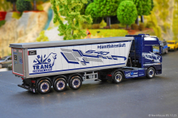 20251205-Trio-Trans-00220