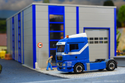 20251205-Trio-Trans-00411