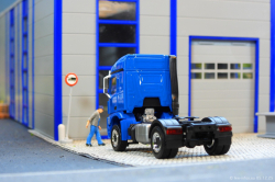 20251205-Trio-Trans-00592