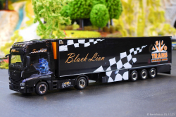 20251205-Trio-Trans-00794