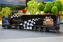 20251205-Trio-Trans-00799