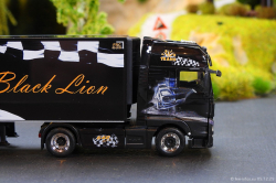 20251205-Trio-Trans-00822