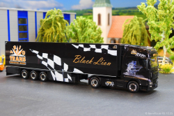 20251205-Trio-Trans-00824