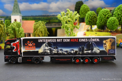 20251205-Trio-Trans-00878