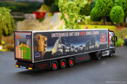 20251205-Trio-Trans-00902