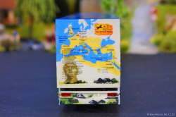 20251205-Trio-Trans-01389