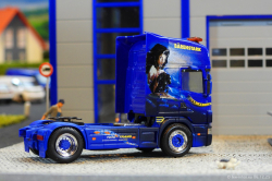 20251206-Trio-Trans-00080